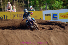 DSC_3884