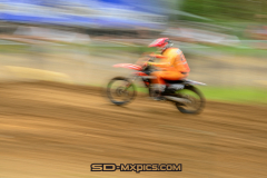 DSC_1196