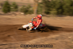 DEK_8405-scaled